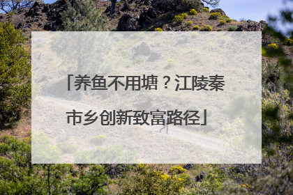 养鱼不用塘？江陵秦市乡创新致富路径