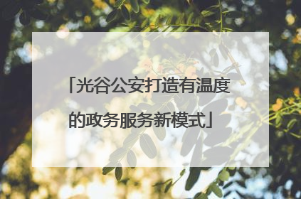 光谷公安打造有温度的政务服务新模式