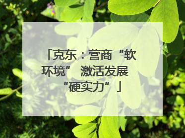 克东：营商“软环境” 激活发展“硬实力”
