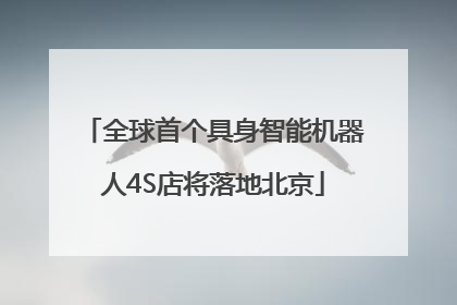 全球首个具身智能机器人4S店将落地北京
