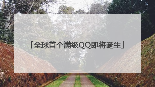 全球首个满级QQ即将诞生