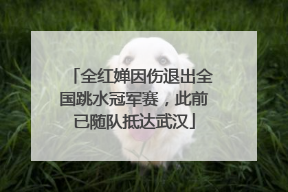 全红婵因伤退出全国跳水冠军赛，此前已随队抵达武汉