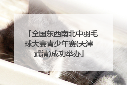 全国东西南北中羽毛球大赛青少年赛(天津武清)成功举办