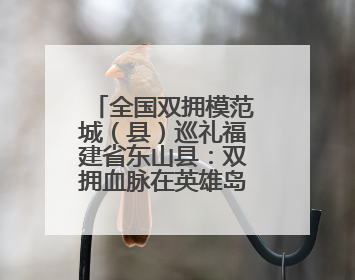 全国双拥模范城（县）巡礼福建省东山县：双拥血脉在英雄岛延续