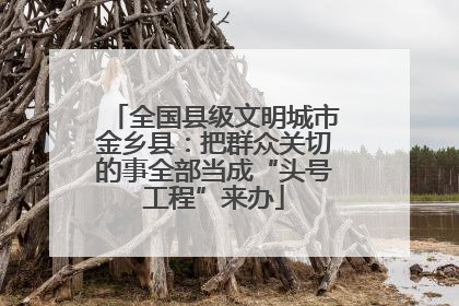 全国县级文明城市金乡县：把群众关切的事全部当成“头号工程”来办