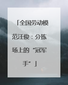 全国劳动模范汪俊：分拣场上的“冠军手”