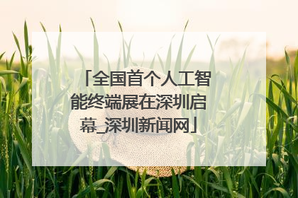 全国首个人工智能终端展在深圳启幕_深圳新闻网