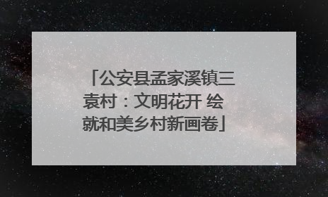 公安县孟家溪镇三袁村：文明花开 绘就和美乡村新画卷