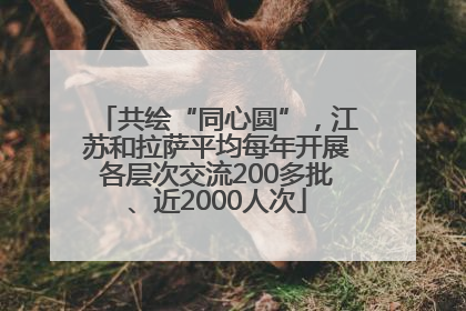 共绘“同心圆”，江苏和拉萨平均每年开展各层次交流200多批、近2000人次