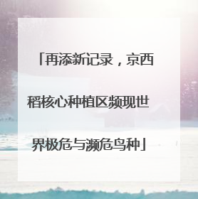 再添新记录，京西稻核心种植区频现世界极危与濒危鸟种
