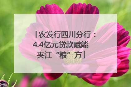 农发行四川分行：4.4亿元贷款赋能夹江“粮”方