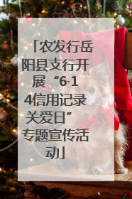 农发行岳阳县支行开展“6·14信用记录关爱日” 专题宣传活动