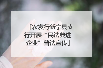 农发行新宁县支行开展“民法典进企业”普法宣传