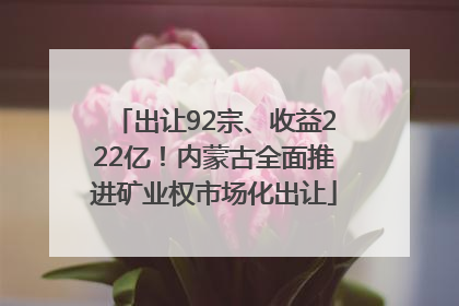 出让92宗、收益222亿！内蒙古全面推进矿业权市场化出让