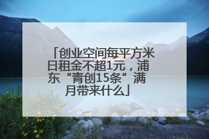 创业空间每平方米日租金不超1元，浦东“青创15条”满月带来什么