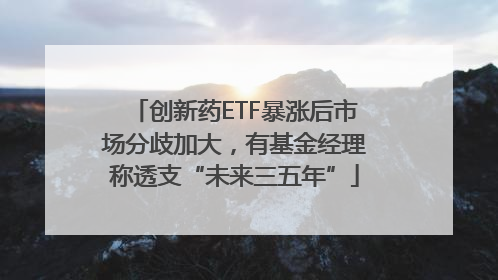 创新药ETF暴涨后市场分歧加大，有基金经理称透支“未来三五年”