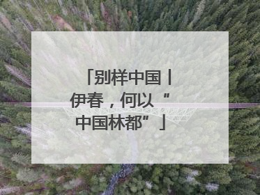 别样中国丨伊春，何以“中国林都”
