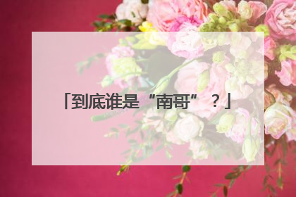 到底谁是“南哥”？
