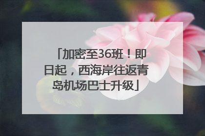 加密至36班！即日起，西海岸往返青岛机场巴士升级