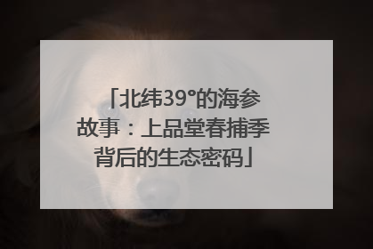 北纬39°的海参故事：上品堂春捕季背后的生态密码