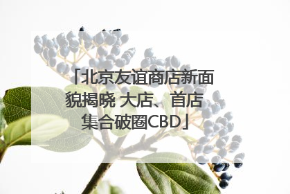 北京友谊商店新面貌揭晓 大店、首店集合破圈CBD