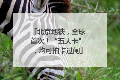 北京地铁，全球首次！“五大卡”，均可拍卡过闸