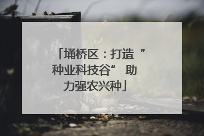 埇桥区：打造“种业科技谷” 助力强农兴种