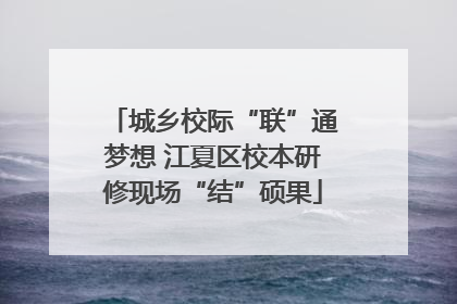 城乡校际“联”通梦想 江夏区校本研修现场“结”硕果