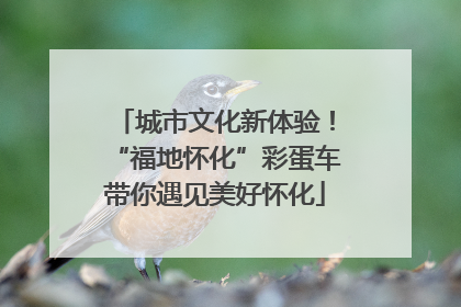 城市文化新体验！“福地怀化”彩蛋车带你遇见美好怀化