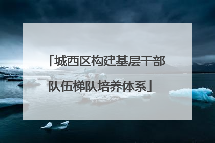 城西区构建基层干部队伍梯队培养体系