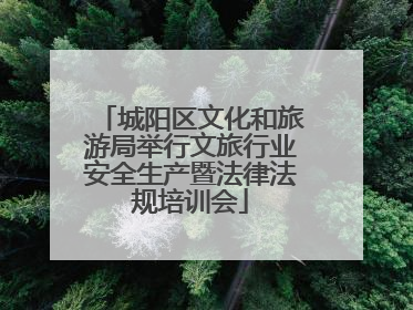 城阳区文化和旅游局举行文旅行业安全生产暨法律法规培训会