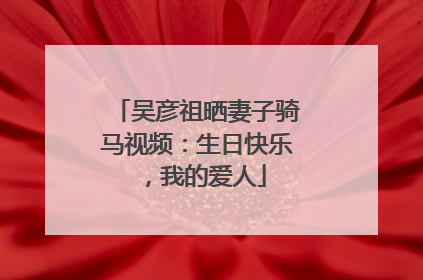 吴彦祖晒妻子骑马视频：生日快乐，我的爱人