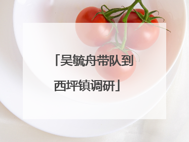 吴毓舟带队到西坪镇调研