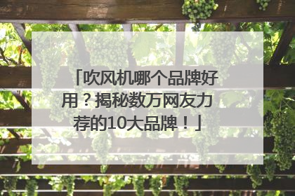 吹风机哪个品牌好用？揭秘数万网友力荐的10大品牌！