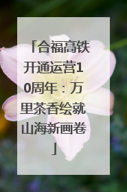 合福高铁开通运营10周年：万里茶香绘就山海新画卷