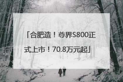 合肥造！尊界S800正式上市！70.8万元起