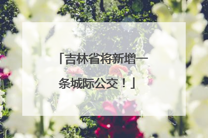 吉林省将新增一条城际公交！