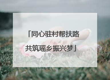同心驻村帮扶路 共筑瑶乡振兴梦