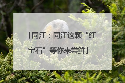 同江：同江这颗“红宝石”等你来尝鲜