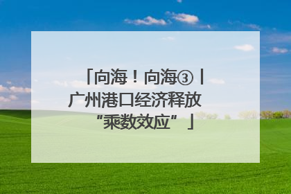 向海！向海③丨广州港口经济释放“乘数效应”