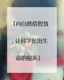 向自然借智慧，让科学长出生命的根系