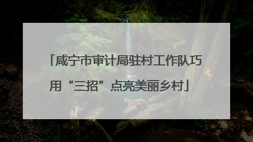 咸宁市审计局驻村工作队巧用“三招”点亮美丽乡村