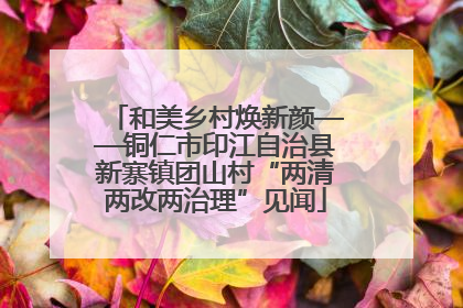 和美乡村焕新颜——铜仁市印江自治县新寨镇团山村“两清两改两治理”见闻