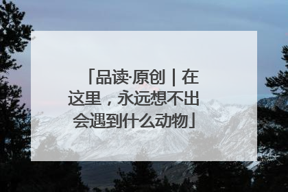 品读·原创｜在这里，永远想不出会遇到什么动物
