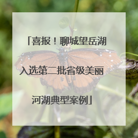 喜报！聊城望岳湖入选第二批省级美丽河湖典型案例