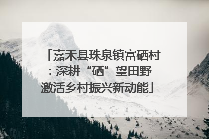 嘉禾县珠泉镇富硒村：深耕“硒”望田野 激活乡村振兴新动能