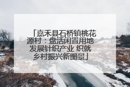 嘉禾县石桥镇桃花源村：盘活闲置用地发展针织产业 织就乡村振兴新图景