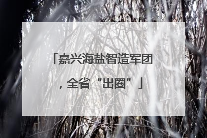 嘉兴海盐智造军团，全省“出圈”