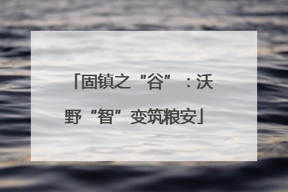固镇之“谷”：沃野“智”变筑粮安