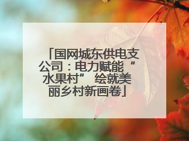 国网城东供电支公司：电力赋能“水果村” 绘就美丽乡村新画卷